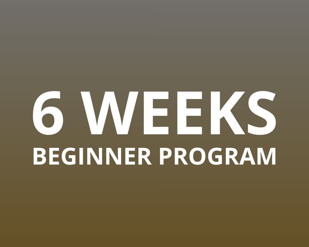 6 weeks beginner program