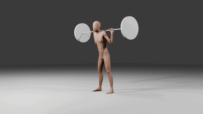 barbell squat animation