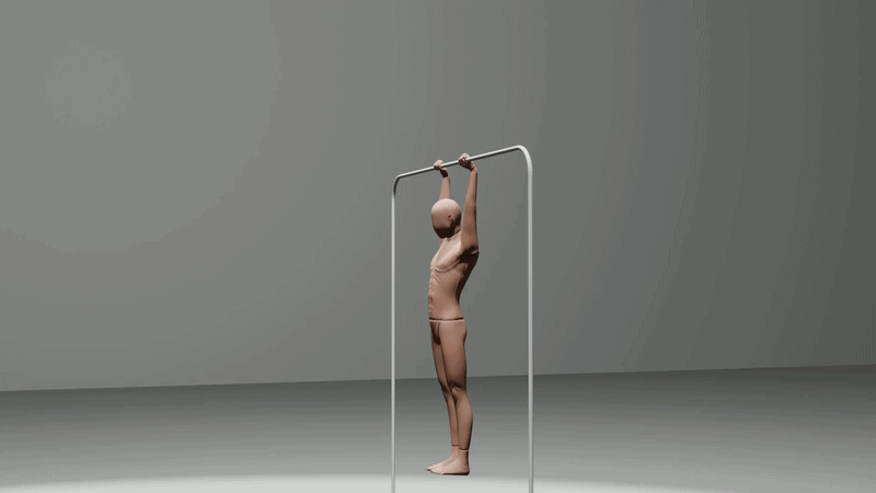 front lever animation