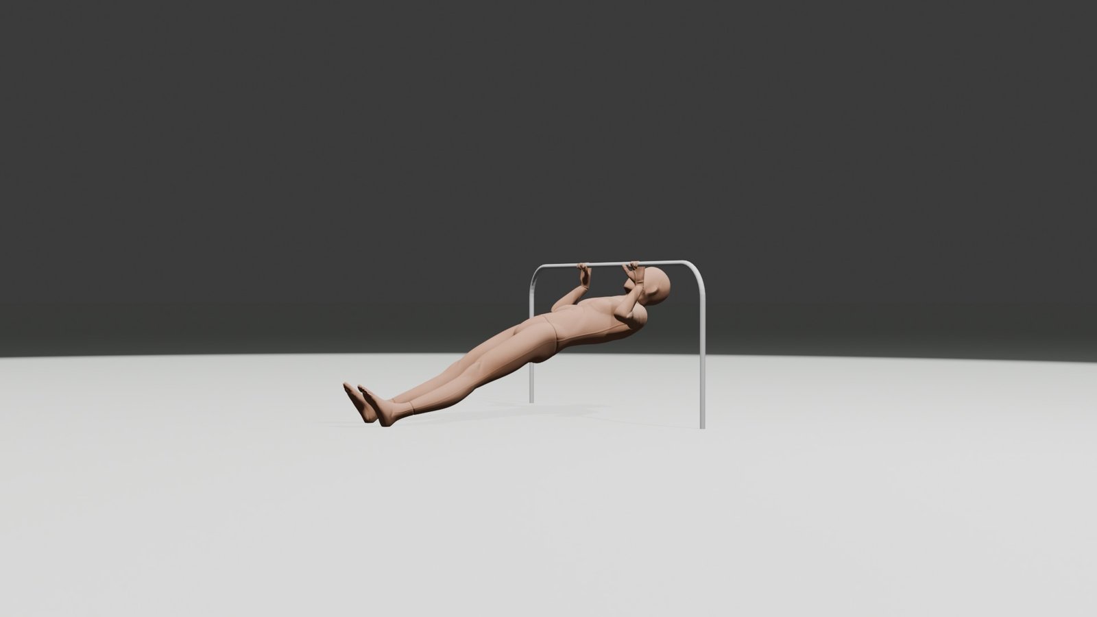 inverted rows demonstration image