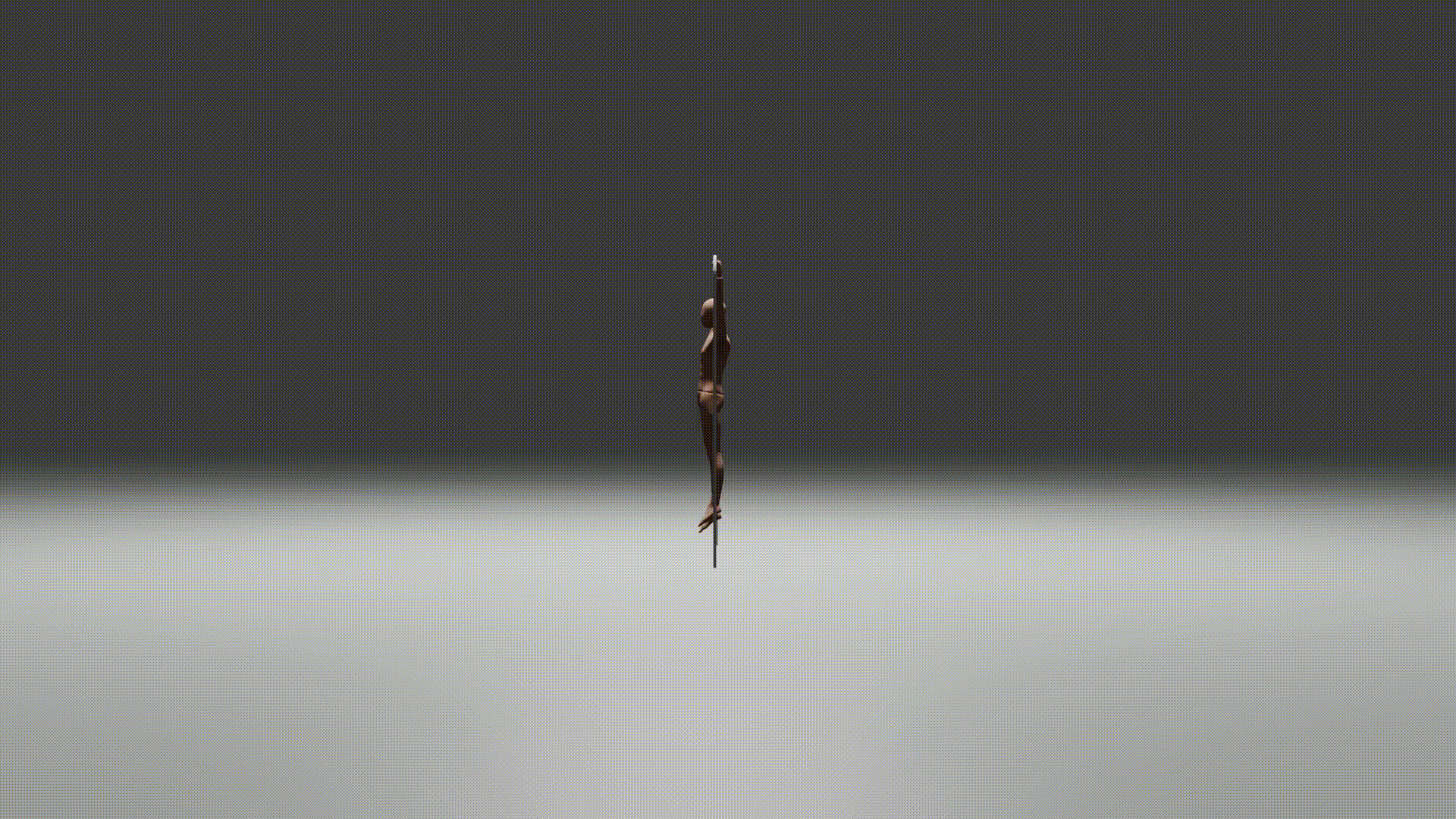 side side view of animated example of toes to bar