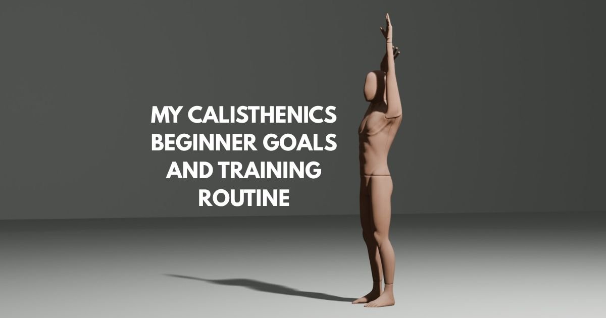 My Calisthenics Beginner Goals And Training Routine