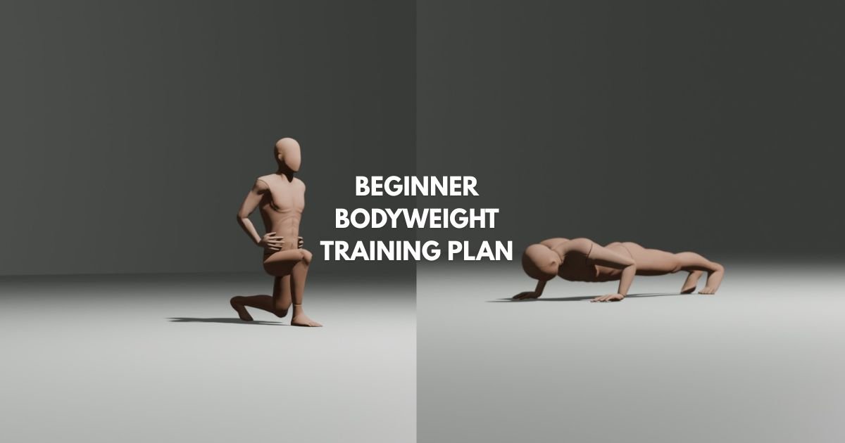 beginner bodyweight training plan