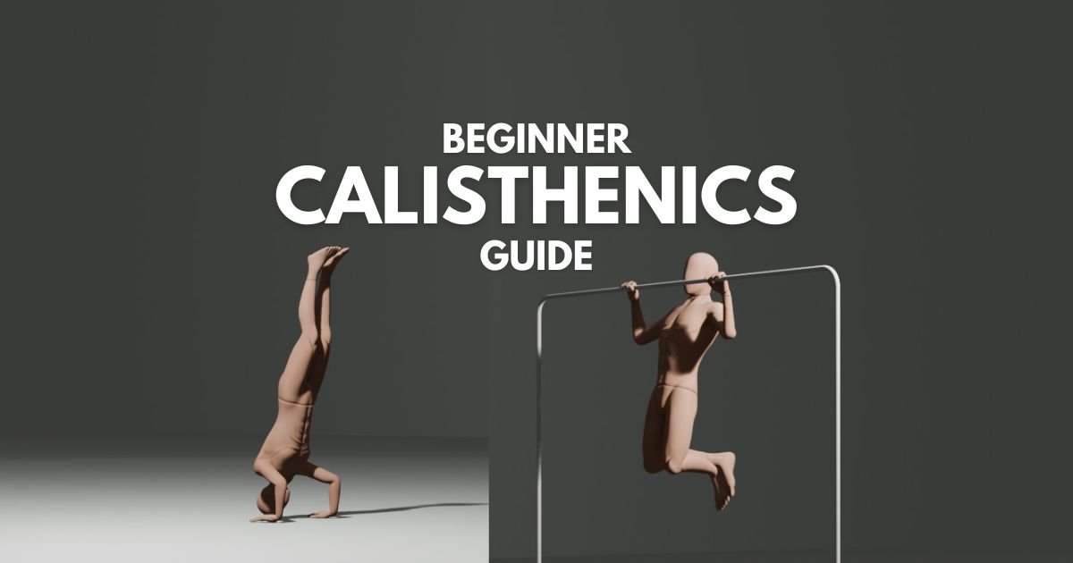 Beginner Calisthenics Skills Guide