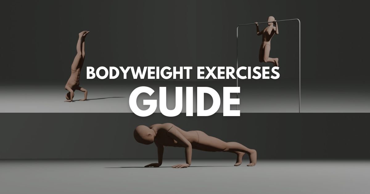Beginner Calisthenics Skills Guide