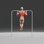 Rear-view illustration of a person performing a pull-up, with the lats, upper-back muscles, shoulders, and arms highlighted in red.
